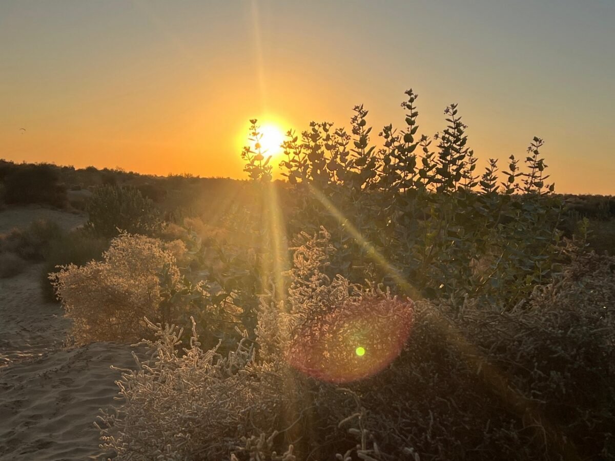 desert safari in jaisalmer