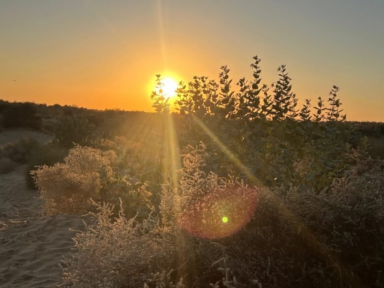 desert safari in jaisalmer