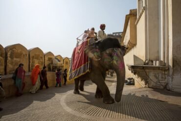 rajasthan tour plan