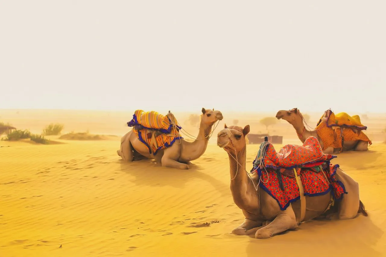 Jaisalmer to Sam Sand Dunes Taxi Service