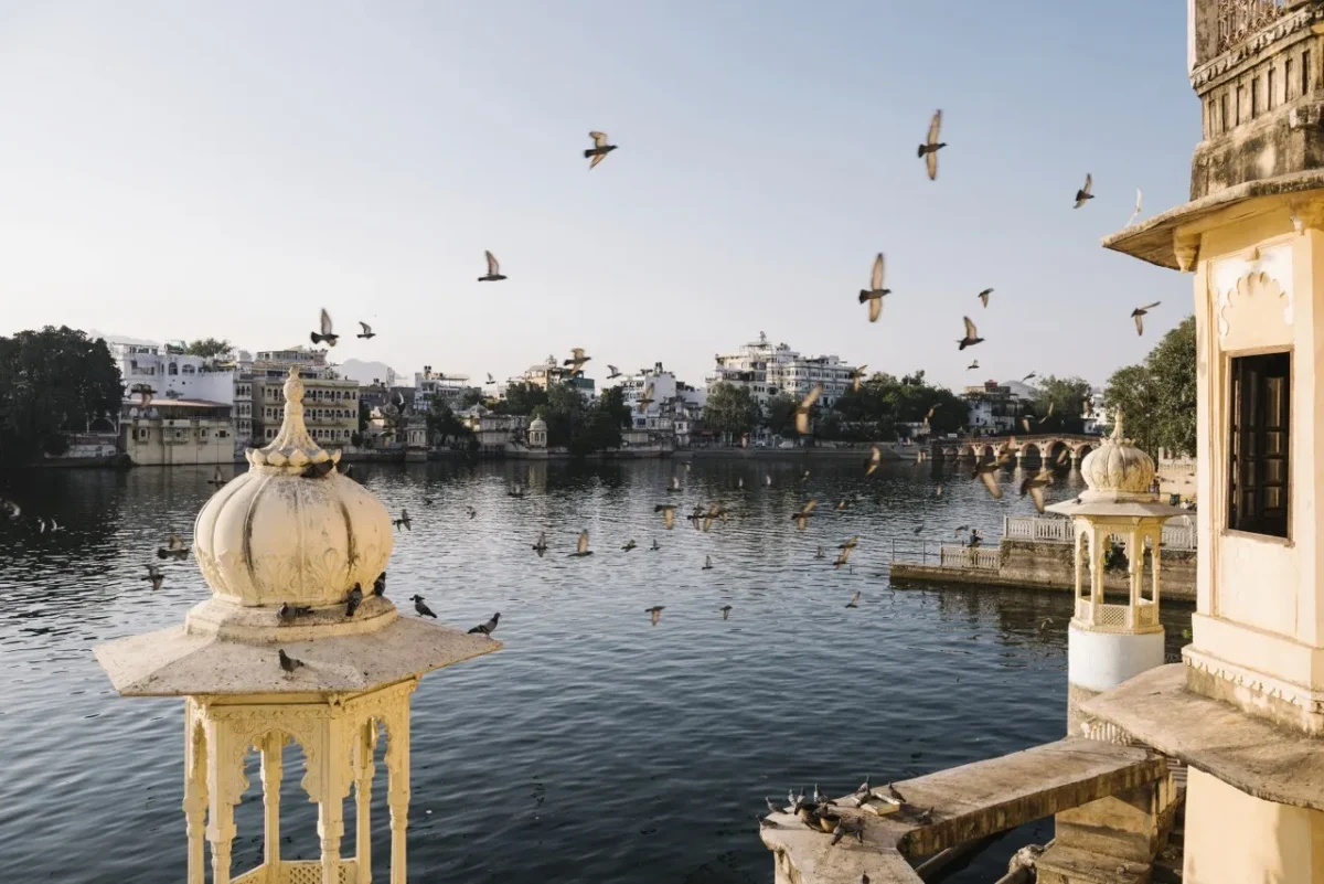 udaipur tour - Shrinath Adventures - Desert Camp Jaisalmer Pigeons fly over a calm lake lined by cream-colored domed pavilions and historic buildings along the shore.