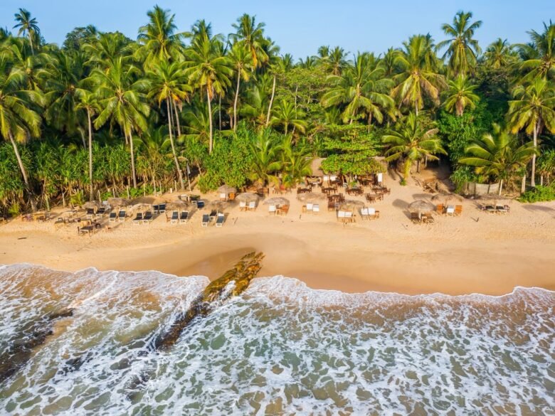 Tropical beach with tall palm trees, sun loungers and thatched shade structures along a sandy shore.