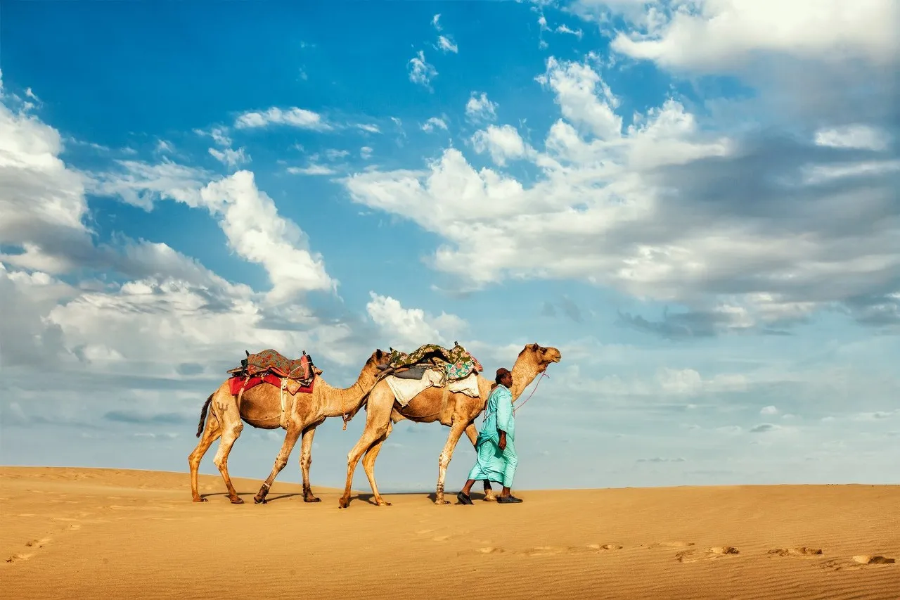Camel safari extension at Sam Sand Dunes after Jaisalmer city sightseeing