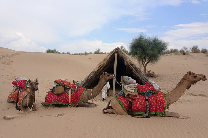 Desert night stay near Jaisalmer dunes