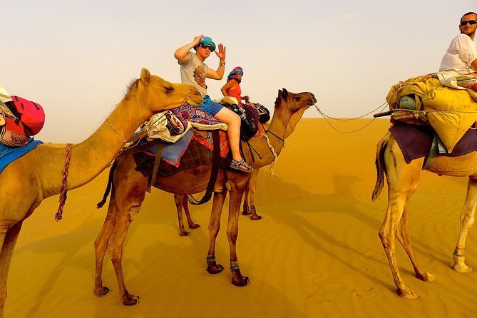 Evening light before a Jaisalmer camp night