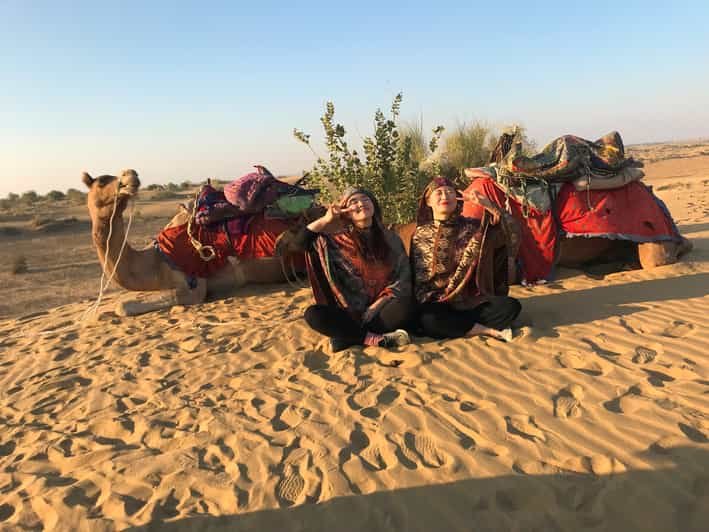 Camel evening before sleeping under the stars in Jaisalmer