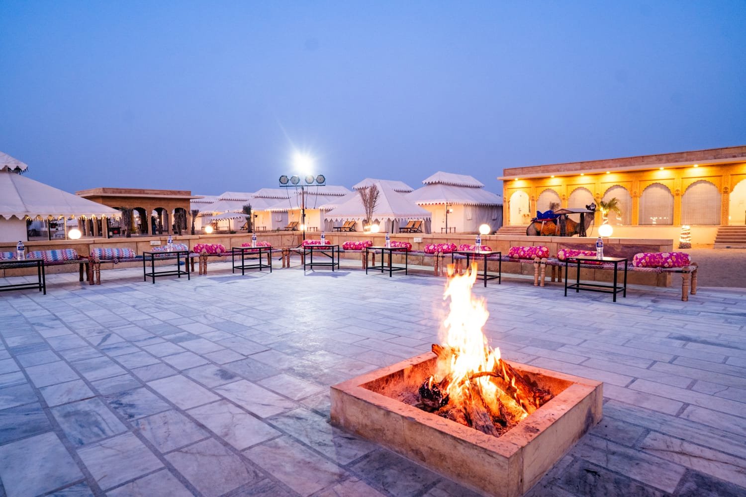 Camel safari in Jaisalmer